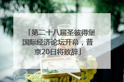 第二十八届圣彼得堡国际经济论坛开幕，普京20日将致辞