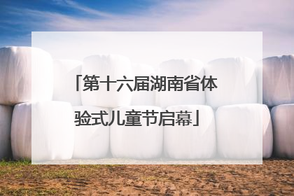 第十六届湖南省体验式儿童节启幕