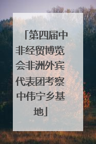 第四届中非经贸博览会非洲外宾代表团考察中伟宁乡基地
