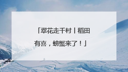 翠花走千村丨稻田有喜，螃蟹来了！