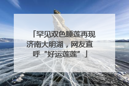 罕见双色睡莲再现济南大明湖，网友直呼“好运莲莲”