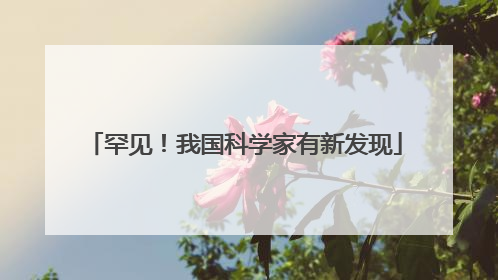 罕见！我国科学家有新发现