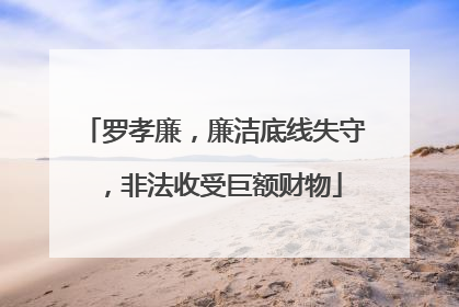罗孝廉，廉洁底线失守，非法收受巨额财物
