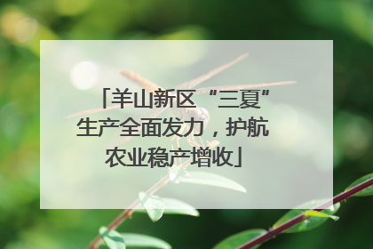 羊山新区“三夏”生产全面发力，护航农业稳产增收