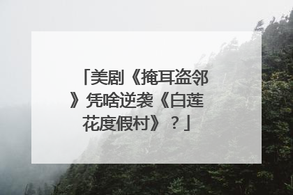 美剧《掩耳盗邻》凭啥逆袭《白莲花度假村》？