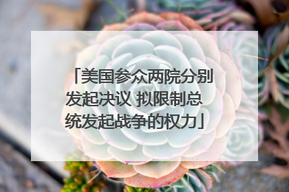 美国参众两院分别发起决议 拟限制总统发起战争的权力