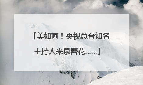 美如画！央视总台知名主持人来泉簪花……