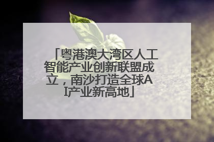 粤港澳大湾区人工智能产业创新联盟成立，南沙打造全球AI产业新高地
