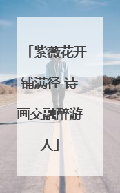 紫薇花开铺满径 诗画交融醉游人