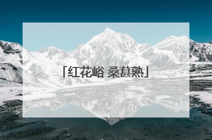 红花峪 桑葚熟