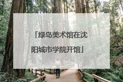 绿岛美术馆在沈阳城市学院开馆