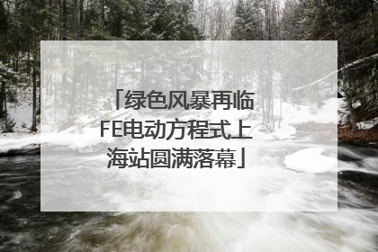 绿色风暴再临 FE电动方程式上海站圆满落幕