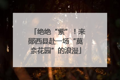 绝绝“紫”！来郧西县赴一场“莫奈花园”的浪漫