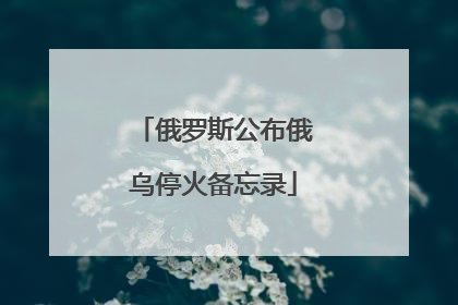 俄罗斯公布俄乌停火备忘录