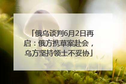 俄乌谈判6月2日再启：俄方携草案赴会，乌方坚持领土不妥协