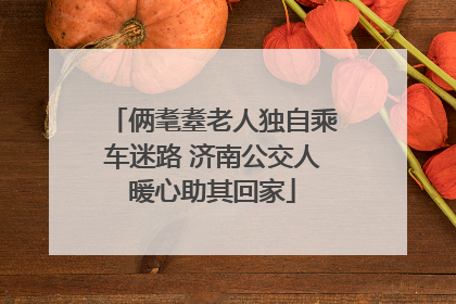 俩耄耋老人独自乘车迷路 济南公交人暖心助其回家