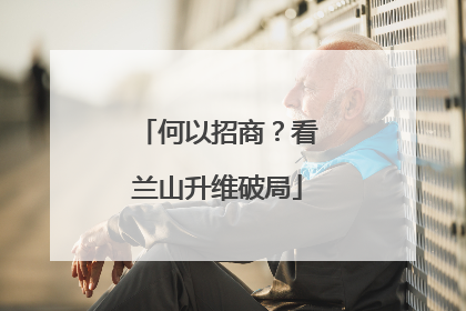 何以招商？看兰山升维破局