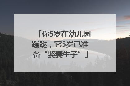 你5岁在幼儿园蹦跶，它5岁已准备“娶妻生子”