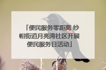 便民服务零距离 纱帽街道月亮湾社区开展便民服务日活动