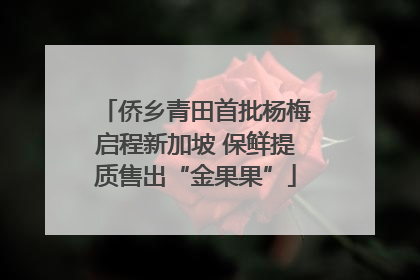 侨乡青田首批杨梅启程新加坡 保鲜提质售出“金果果”