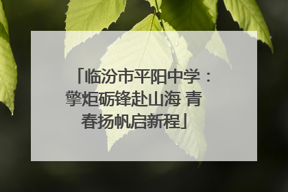 临汾市平阳中学：擎炬砺锋赴山海 青春扬帆启新程