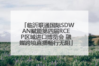 临沂联通国际SDWAN赋能第四届RCEP区域进口博览会 融媒跨境直播畅行无阻