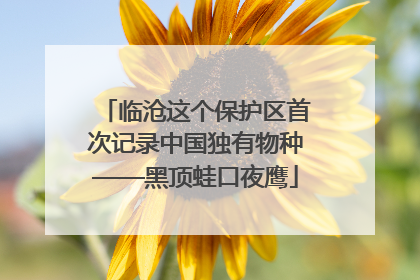 临沧这个保护区首次记录中国独有物种——黑顶蛙口夜鹰