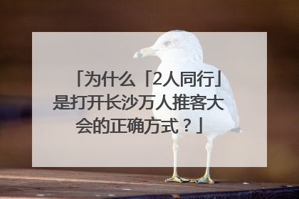 为什么「2人同行」是打开长沙万人推客大会的正确方式？
