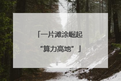 一片滩涂崛起“算力高地”