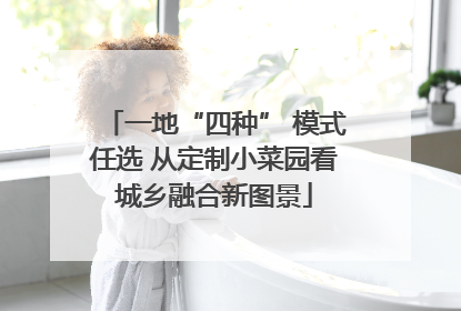 一地“四种” 模式任选 从定制小菜园看城乡融合新图景