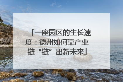 一座园区的生长速度：德州如何靠产业链“链”出新未来