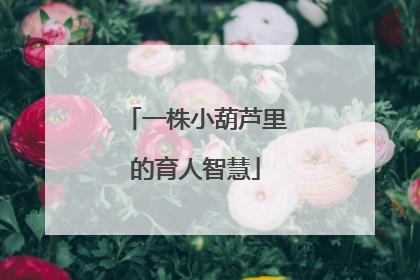 一株小葫芦里的育人智慧