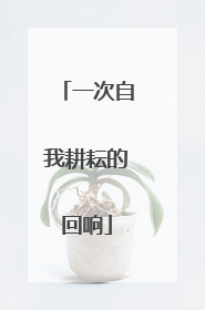 一次自我耕耘的回响