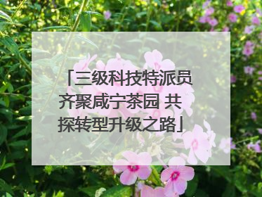 三级科技特派员齐聚咸宁茶园 共探转型升级之路