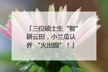 三位硕士生“智” 耕云田，小兰瓜认养 “火出圈”！