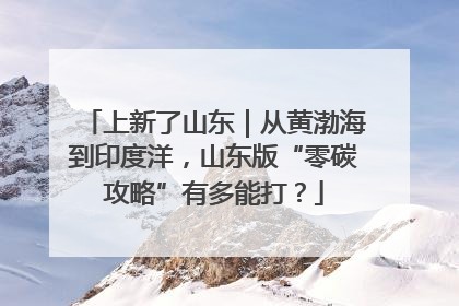 上新了山东｜从黄渤海到印度洋，山东版“零碳攻略”有多能打？