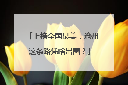 上榜全国最美，沧州这条路凭啥出圈？