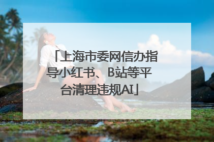 上海市委网信办指导小红书、B站等平台清理违规AI