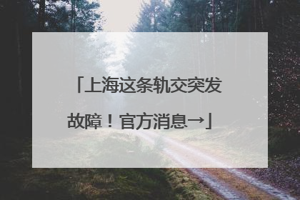 上海这条轨交突发故障！官方消息→