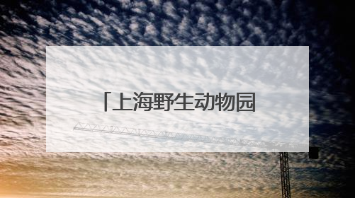 上海野生动物园发文科普非洲象：同一只非洲象长期被欺负消息不实