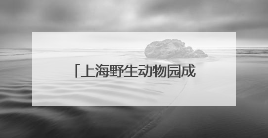 上海野生动物园成功繁育的两头非洲象宝宝与游客见面