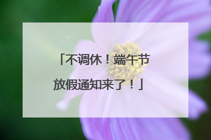 不调休！端午节放假通知来了！