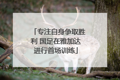 专注自身争取胜利 国足在雅加达进行首场训练