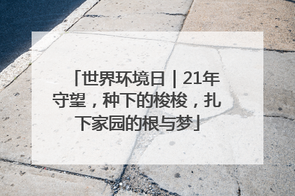 世界环境日｜21年守望，种下的梭梭，扎下家园的根与梦