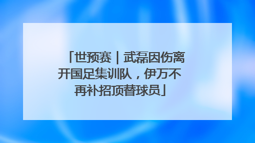 世预赛｜武磊因伤离开国足集训队，伊万不再补招顶替球员