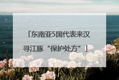 东南亚5国代表来汉寻江豚“保护处方”
