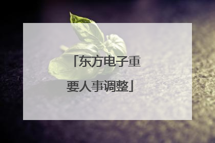 东方电子重要人事调整