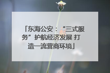 东海公安：“三式服务”护航经济发展 打造一流营商环境