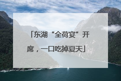 东湖“全荷宴”开席，一口吃掉夏天