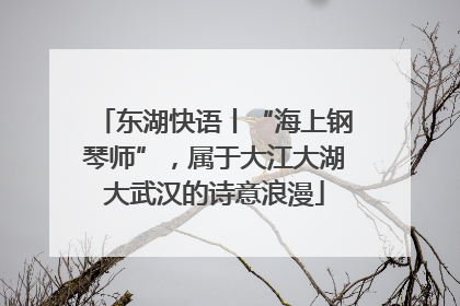 东湖快语丨“海上钢琴师”，属于大江大湖大武汉的诗意浪漫